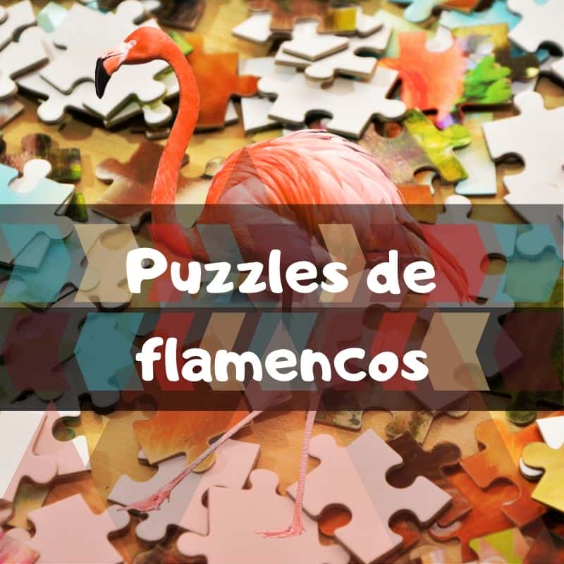 Los mejores puzzles de flamencos