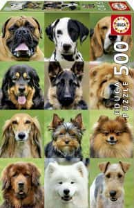 Puzzles de perros - Puzzle caras de perros de 500 piezas