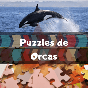 Los mejores puzzles de animales salvajes - Puzzles de orcas - Comprar puzzle de orca