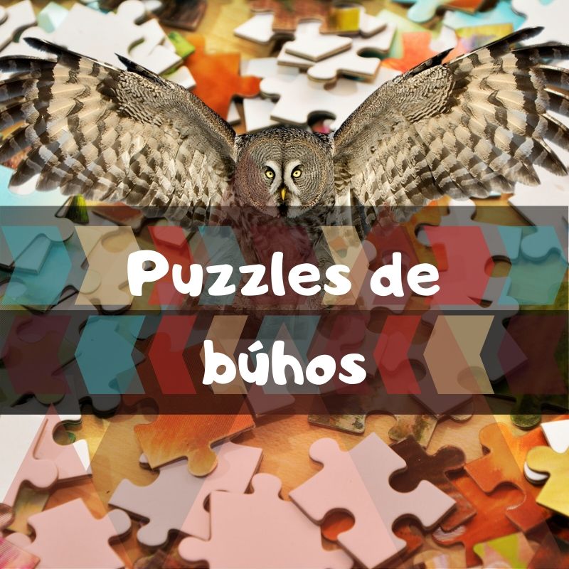 Juegos y Puzles de Lechuzas - Acabado Premium Garantizado