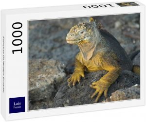 Los mejores puzzles de iguanas y lagartos - Puzzle de lagarto de las Galápagos de 1000 piezas