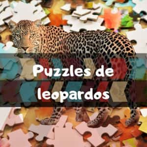 Lee más sobre el artículo Los mejores puzzles de leopardos