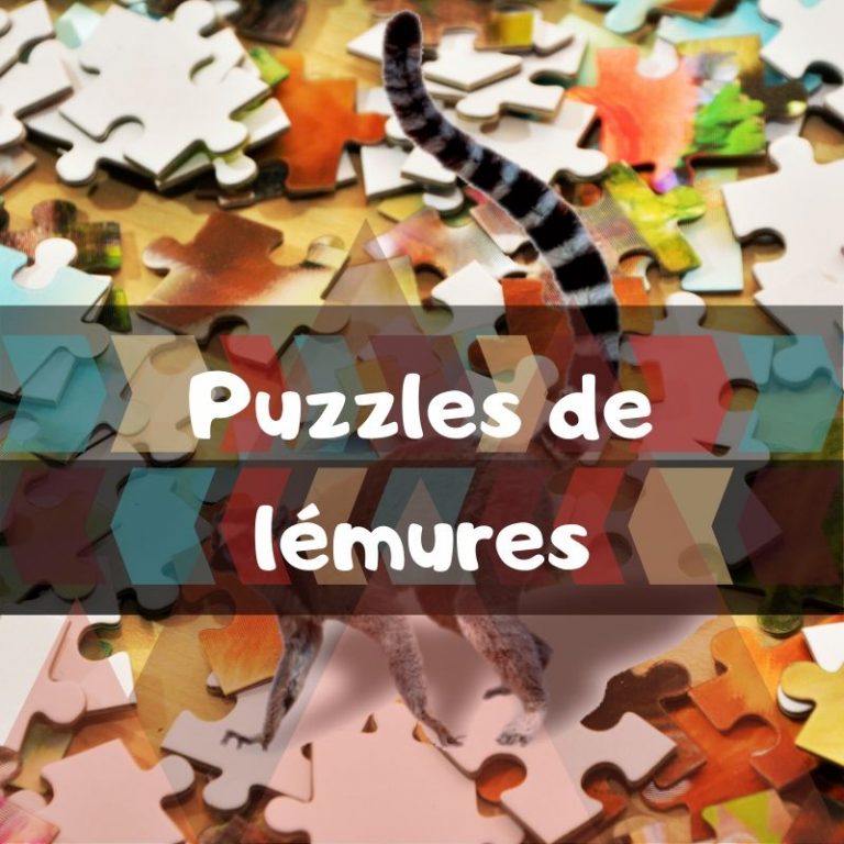 Lee más sobre el artículo Los mejores puzzles de lémures