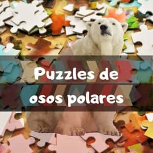 Los mejores puzzles de osos polares