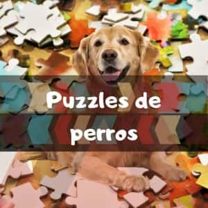 Los mejores puzzles de perros