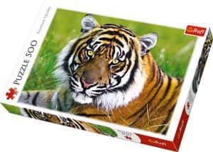 Puzzle de tigre de sumatra de 500 piezas de Trefl - Los mejores puzzles de tigres - Puzzle de tigre