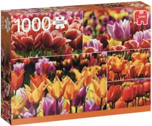 Puzzles de Amsterdam - Puzzle de tulipanes de Jumbo de 1000 piezas