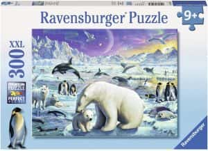 Puzzles de Osos polares - Puzzle de vida polar de 300 piezas