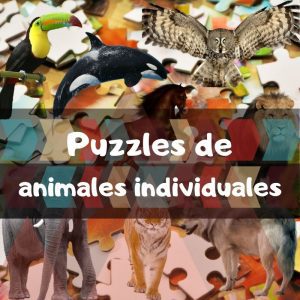 Puzzles de animales individuales - Puzzles de animales únicos