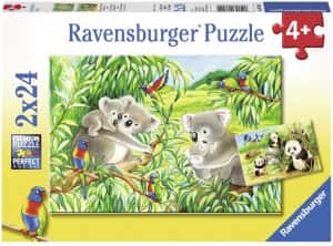Puzzles de koalas - Puzzle mini de familia de koalas
