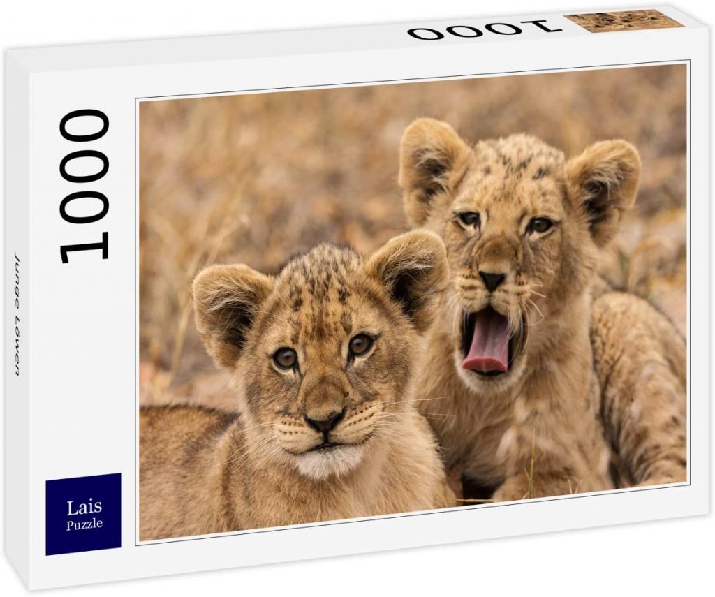 Puzzle 1000 Piezas Familia De Leones - 70x50 Cm, Cartón Reciclable, Incluye Póster De Referencia