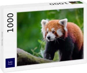 Puzzles de pandas rojos - Puzzle de panda rojo en la naturaleza de 1000 piezas