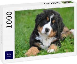 Puzzles de perros - Puzzle de perro de lais de 1000 piezas