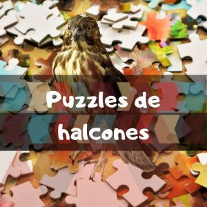 Los mejores puzzles de Halcones