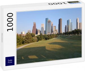 Los mejores puzzles de Houston en EEUU - Puzzle de 1000 piezas de edificios de Houston desde el parque