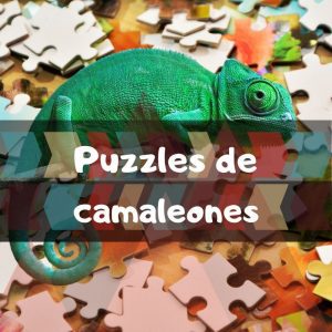 Los mejores puzzles de camaleones