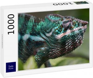 Los mejores puzzles de camaleones - Puzzle de 1000 piezas de cabeza de camaleÃ³n verde y azul