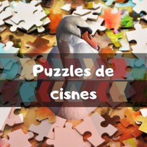 Los mejores puzzles de cisnes