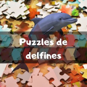 Los mejores puzzles de delfines