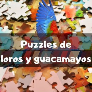 Los mejores puzzles de loros y guacamayos