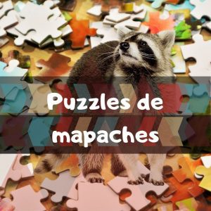 Los mejores puzzles de mapaches