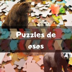 Los mejores puzzles de osos - Los mejores puzzles de tipos de osos