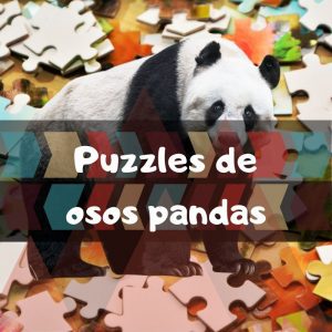 Los mejores puzzles de osos pandas en China