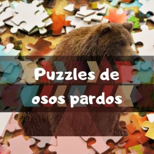 Los mejores puzzles de osos pardos en la naturaleza