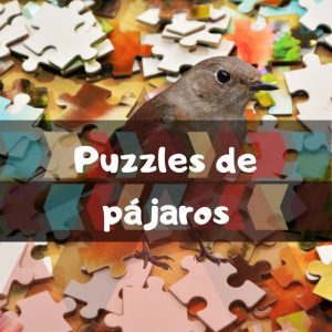 Los mejores puzzles de pájaros - Puzzles de tipos de pájaros