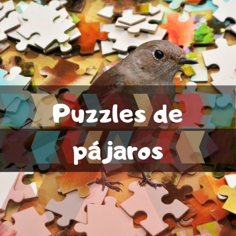 Lee más sobre el artículo Los mejores puzzles de pájaros