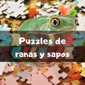 Los mejores puzzles de ranas y sapos