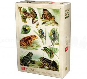 Los mejores puzzles de ranas y sapos - Puzzle de 1000 piezas de tipos de ranas
