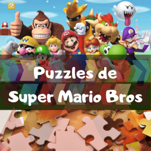 Lee más sobre el artículo Los mejores puzzles de Super Mario Bros