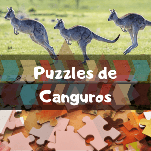 Los mejores puzzles de animales salvajes - Puzzles de canguros - Comprar puzzle de canguro