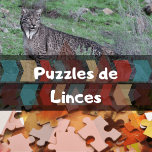 Los mejores puzzles de animales salvajes - Puzzles de linces - Comprar puzzle de lince
