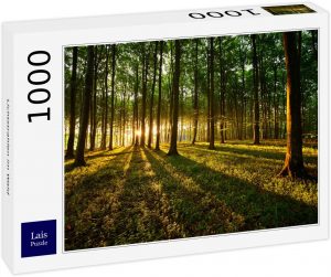 Los mejores puzzles de bosques - Forest - Puzzle de bosque con rayos de luz de 1000 piezas de Lais