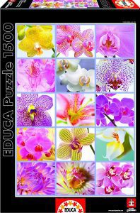Los mejores puzzles de flores - Puzzle de tipos de flores de 1500 piezas de Educa