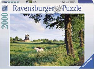 Los mejores puzzles de molinos - Puzzle de molino en el campo de 2000 piezas de Ravensburger