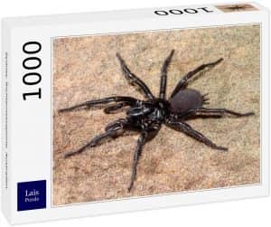 Puzzle de araña australiana de 1000 piezas de Lais- Los mejores puzzles de arañas - Puzzles de animales