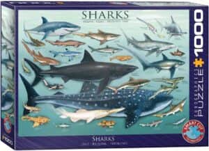 Puzzle De Tipos De Tiburones De 1000 Piezas