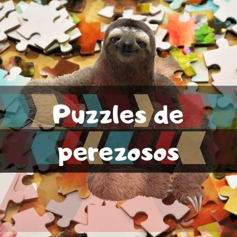 Lee mÃ¡s sobre el artÃ­culo Los mejores puzzles de perezosos
