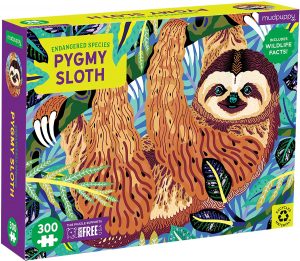 Puzzle De Sloth Especial
