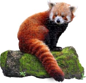 Puzzle De Forma De Panda Rojo