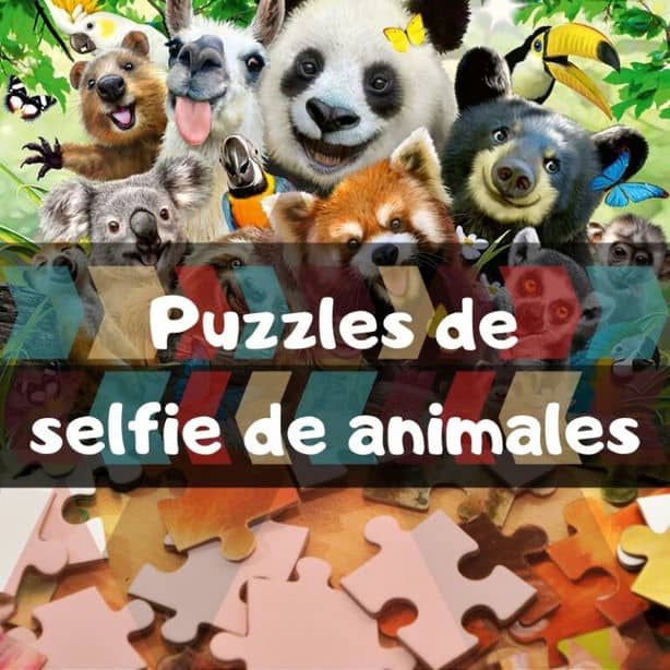 Lee mÃ¡s sobre el artÃ­culo Los mejores puzzles de selfie de animales